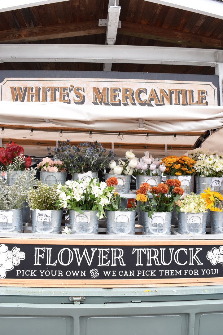 Nashville Travel Recommendations_C Brooke Ring-12