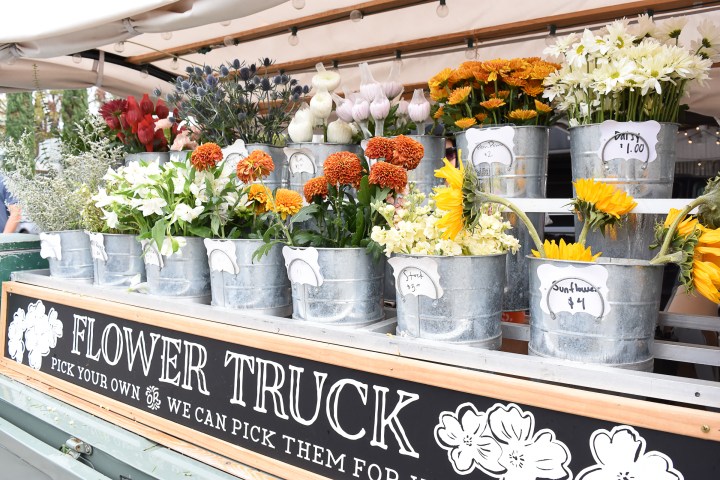 Nashville Travel Recommendations_C Brooke Ring-13