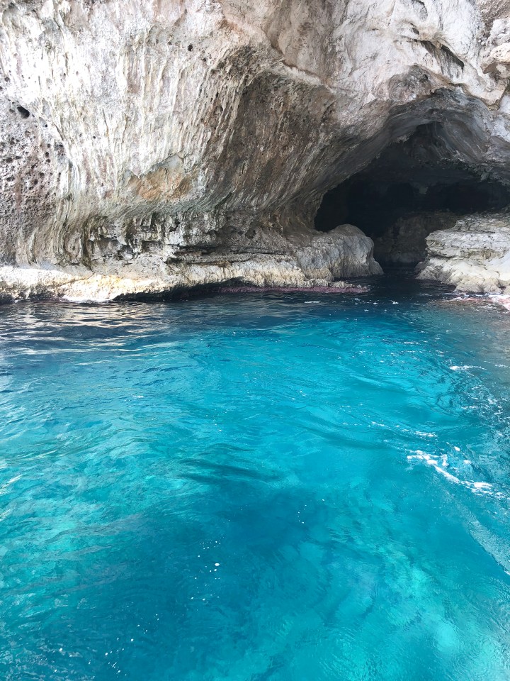 European Watercolor_C.Brooke Ring-19.jpg