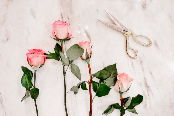 Floral Arrangement Blog Post-C Brooke Ring-16.jpg